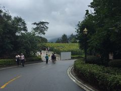 -广州市流溪河国家森林公园
