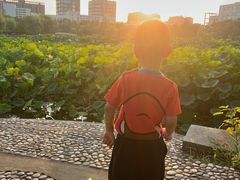-南京航空航天大学(将军路校区)