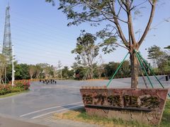 -王借岗森林公园