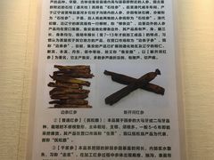 -广东中医药博物馆