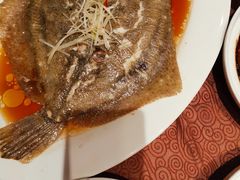 清蒸多宝鱼-东方明珠老上海8号餐厅(东方明珠广播电视塔店)