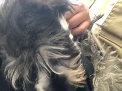 -怪兽屋·羊驼·猫咖·狗咖(俊华广场店)