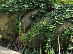 -白水寺森林公园