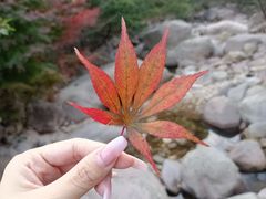 -崂山九水游览区
