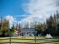 -前小桔亲子创意农场·草莓采摘·露营烧烤