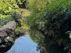 -中国茶叶博物馆(双峰馆区)