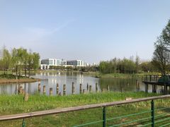 -尚贤河湿地