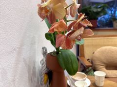 -沙丘咖啡DUNE COFFEE(深业水松大厦店)