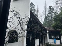 -白鹿洞书院