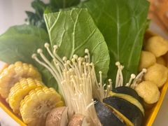 -润园四季椰子鸡火锅(海上世界店)