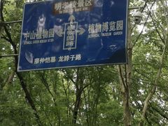 -紫金山山顶公园