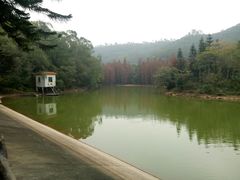 -滴水岩森林公园
