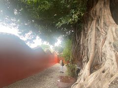 -福州开元寺