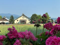 -富田农场