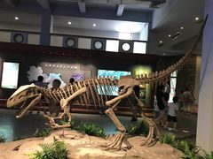 -自贡恐龙博物馆