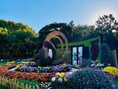 -上海共青森林公园