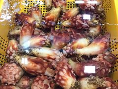 -西归浦每天偶来市场