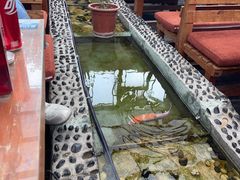 -丽江庭院之爱在路上(西单店)