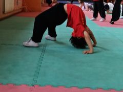 -武术世家少儿培训中心(首都体育学院店)