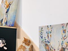 -瞄一喵猫咖(格力海岸店)