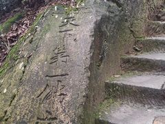 -大金鹰园
