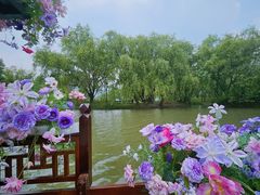 -长兴太湖图影湿地文化园