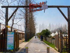 -前小桔亲子创意农场·草莓采摘·露营烧烤