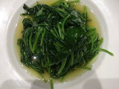 -沪碟·精菜坊(闵行店)