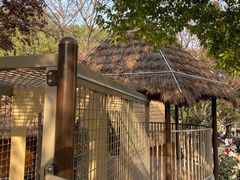 -宁波儿童公园(鄞州区)