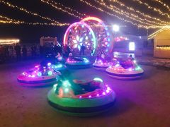 -丁香湖丁香小镇Citypark滑雪公园戏雪嘉年华