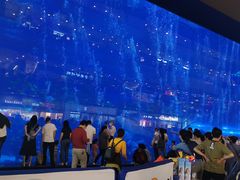 -成都浩海立方海洋公园