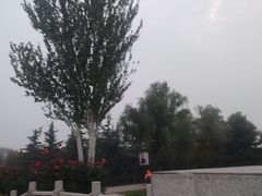 -渭滨公园
