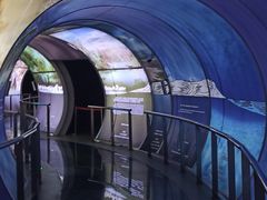 -房山世界地质公园博物馆