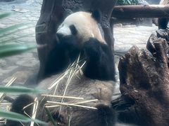 -乐和乐都主题乐园