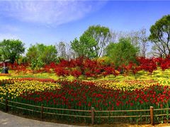 -济南植物园