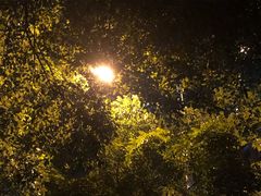 -WEGYMER健萌健身(雅颂居馆)