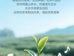 -华祥苑茶馆•国缤茶小蓝罐(普罗旺斯店)