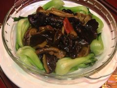 烹炒草原蘑-大汗行宫园林餐厅