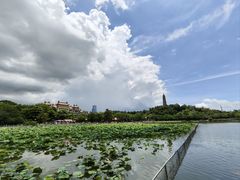 -顺峰山公园