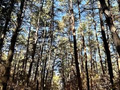 -帽儿山国家森林公园