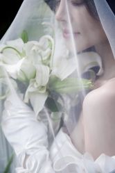 -金夫人婚纱摄影