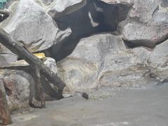 -福州罗源湾海洋世界旅游区