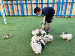 -萌宠亲子动物乐园(槐房万达店)