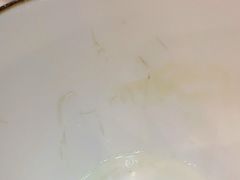 花胶鱼翅炖老鸡-威尼斯西餐厅(古镇店)