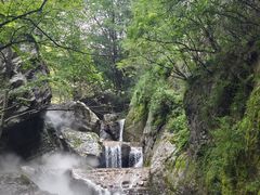 -牛背梁国家森林公园