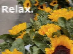 -循礼门鲜花花市(武汉循礼门店)