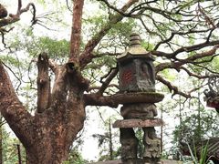 -安溪清水岩