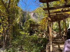 -大岭沟猕猴桃谷风景区