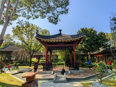 -顺峰山公园