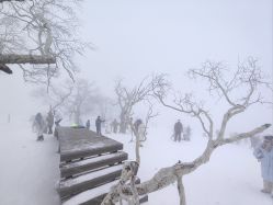 -大秃顶子山
